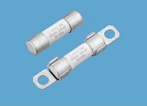 Φ10×38 Midget Fuse